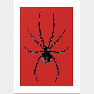 Black Widow Spider Posters and Art